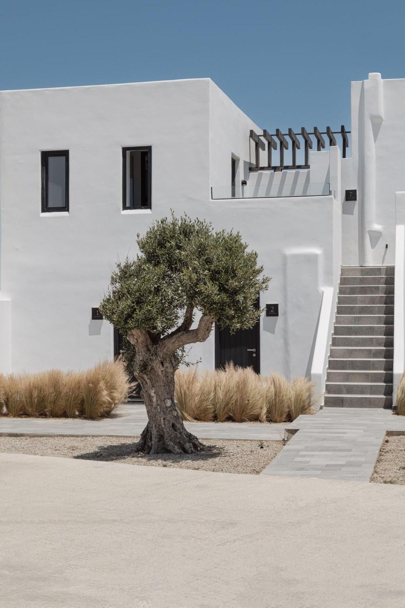 Laguna Suites In Mazera Mykonos Mykonos Town Dış mekan fotoğraf